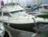 arcoa-880-fishing-5.jpg
