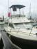 arcoa-880-fishing-7.jpg